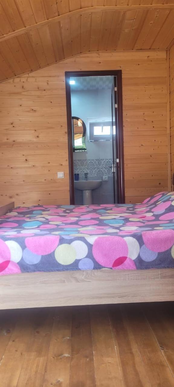 Guest House Guli 메스티아 객실 사진