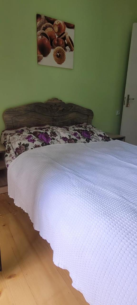 Guest House Guli 메스티아 객실 사진